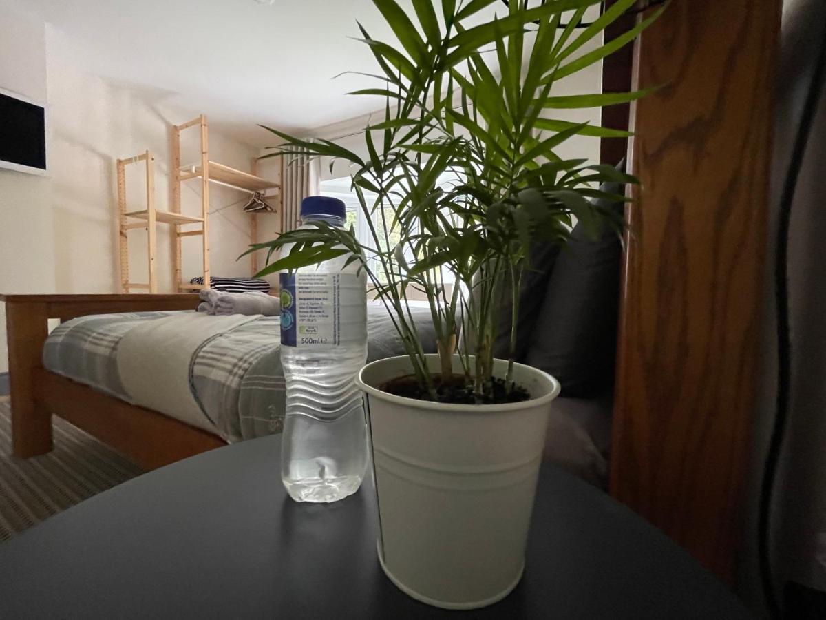 Dolwen Snowdonia Home By Polkastays เคอร์นาวอน ภายนอก รูปภาพ